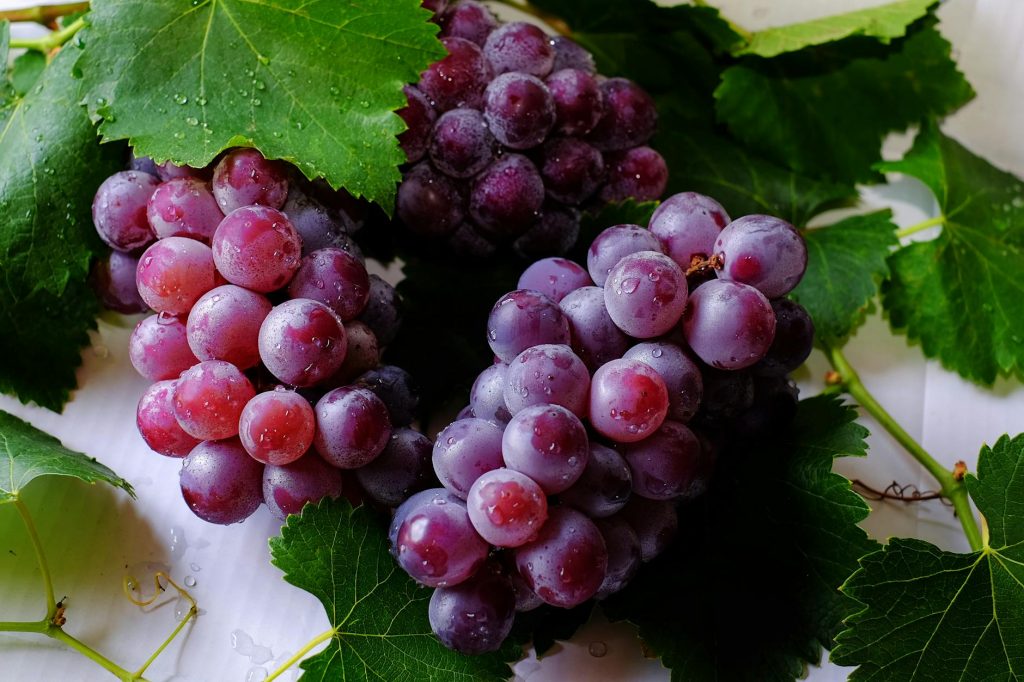 grape fruits